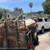 🏡Reliable Landscaping & Junk Removal Services🚛 13 thumbnail