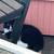 Rehoming Kittens 2 thumbnail