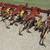 International 133 4RW Vibrashank 3pt Cultivator 1 thumbnail