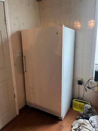 Standing Freezer 1