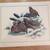 Vintage Waterfowl prints 1 thumbnail