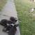 Feee kittens 2 thumbnail