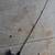 5 FT UGLY STIK W/ PENN 420SS HI SPEED REEL 3 thumbnail
