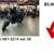 2019 Kawasaki Z650 ABS Naked 1 thumbnail