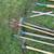 Various Garden Tools 2 thumbnail
