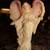 Seraphim Classics Angels 20 thumbnail