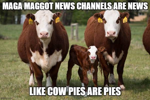 MAGA Maggots 1
