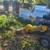 STUMP GRINDING, chipping, firewood splitting, and tree work dump runs junk 8 thumbnail