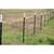 ISO Chicken wire, T-Posts, skids, cow fencing 1 thumbnail