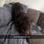 Rehoming dog ASAP 2 thumbnail