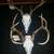 European skull mounts/European Mount 3 thumbnail