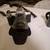 Multiple good cameras and a few lenses 5 thumbnail