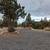 Spacious 5 Bed / 4 Bath Redmond Home with RV Shop, New HVAC & Large Ya 17 thumbnail