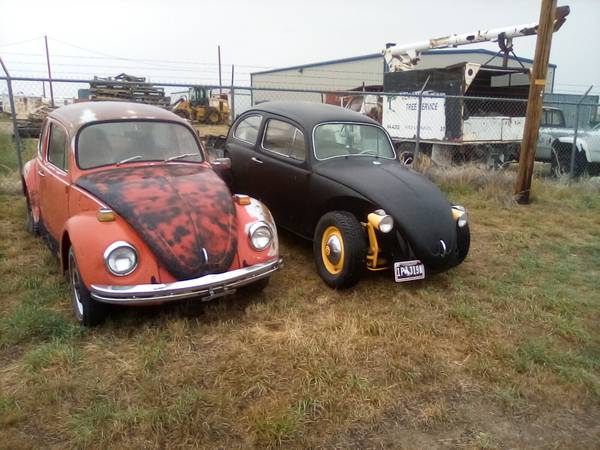 Bug collection 1