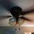Working ceiling light and fan 7 thumbnail