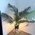 Artificial tree with added lights and stand 3 thumbnail