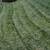 Affordable, Reliable, Local – Landscaping That Stands Out 2 thumbnail