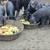 Meishan piglets 2 thumbnail