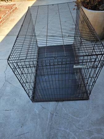 Dog crate XL 1