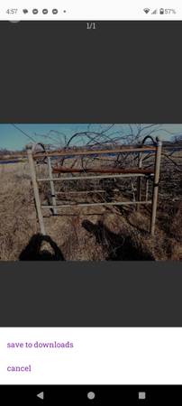 Used Cattle Shoot 1