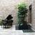 Interior Tropical Plant Installation Technician 1 thumbnail