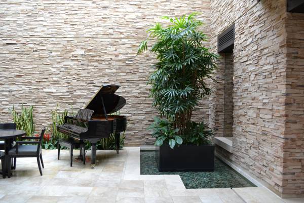 Interior Tropical Plant Installation Technician 1