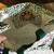 2 Vera Bradley Everyday Errand Bags 4 thumbnail