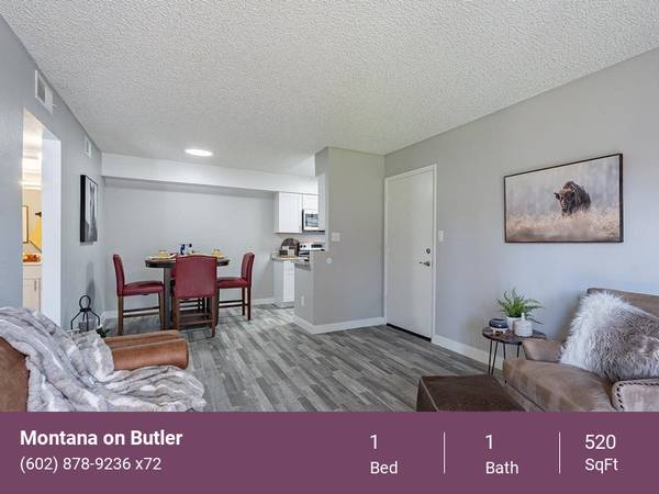 A Must See, Large Spacious Closets, Private Patios and Balconies 1