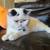 Boy Exotic shorthair kitten 3 thumbnail