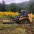 Brush control  (blackberry and Scotchbroom Spraying, Brush Mowing) 4 thumbnail
