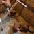 Soup chickens 1 thumbnail