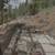 1.3 partially developed acres in Bailey Colorado on Buton Street 4 thumbnail