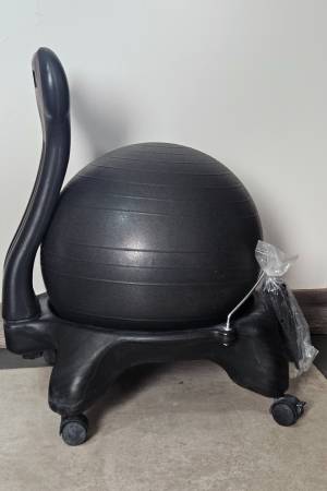 Gaiam ball chair with back 1
