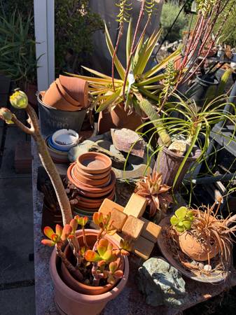 Yard sale photo