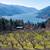 Rare Development Property in White Salmon - RMLS#519552276 6 thumbnail