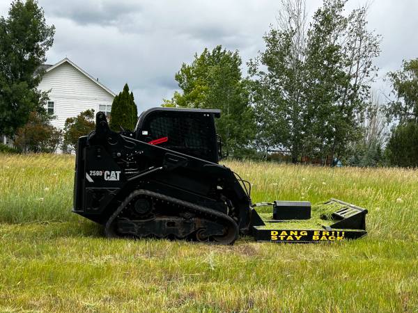 2019 259D3 CTL (Special Edition) 1