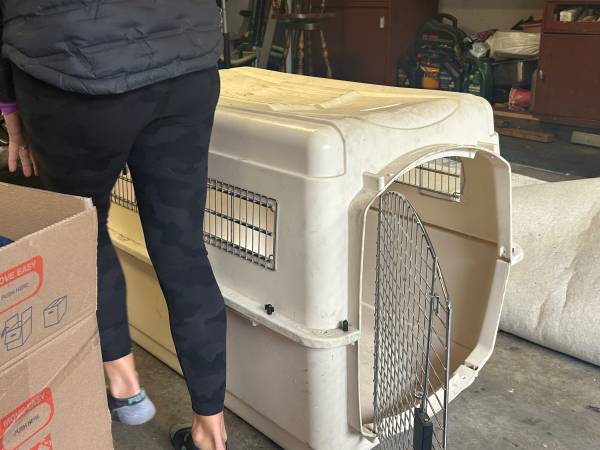 XL dog crate 1