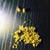 Authentic Alaskan Yukon Gold Nuggets (20–22k Natural Purity) 8 thumbnail