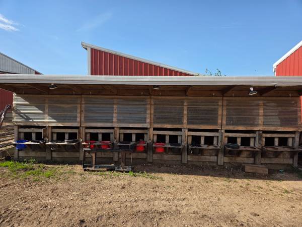 Calf condo 1