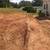 STRICTLY STUMPS   Stump Grinding 13 thumbnail