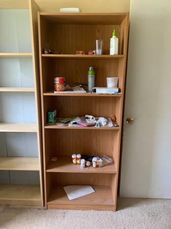 Book case and book shelves 1