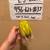 Dilute Green Cheek Conure 4 thumbnail
