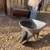 Wheelbarrow - Small 2 thumbnail