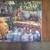 Bette Rowe Pallos artwork 6x8 canvas transfer "Amaryllis Tea Table" 2 thumbnail