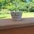 VTG Ceramic Glazed Berry Vine Mini-pot for Small Flower Plants Planter 2 thumbnail