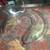 Food processor LID ?? 1 thumbnail