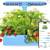Sainlogic Hydroponic System 1 thumbnail