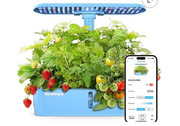 Sainlogic Hydroponic System 1