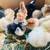 Egg layer chicks-exotic breeds-pollitos 10 thumbnail