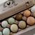 Olive, chocolate, and Easter Egger Hens 7 thumbnail